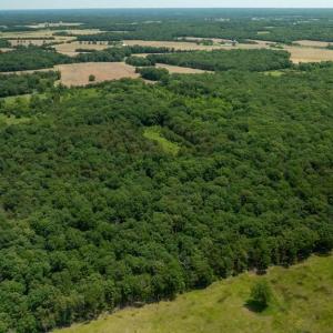 Photo #10 of 11326 ROGUES ROAD N, MIDLAND, VA 52.8 acres