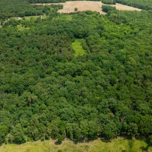 Photo #11 of 11326 ROGUES ROAD N, MIDLAND, VA 52.8 acres