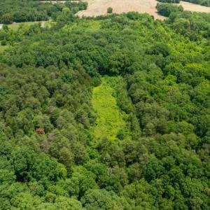 Photo #12 of 11326 ROGUES ROAD N, MIDLAND, VA 52.8 acres