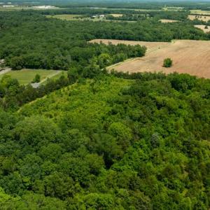 Photo #14 of 11326 ROGUES ROAD N, MIDLAND, VA 52.8 acres