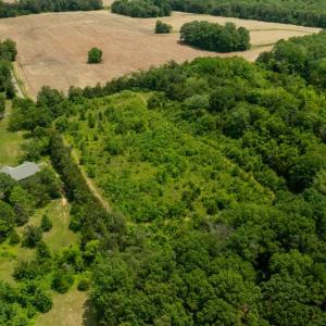 Photo #15 of 11326 ROGUES ROAD N, MIDLAND, VA 52.8 acres