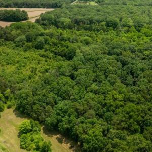 Photo #16 of 11326 ROGUES ROAD N, MIDLAND, VA 52.8 acres