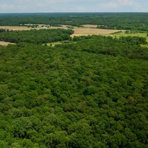 Photo #17 of 11326 ROGUES ROAD N, MIDLAND, VA 52.8 acres