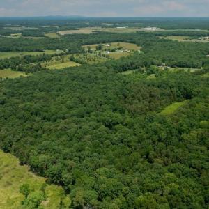 Photo #9 of 11326 ROGUES ROAD N, MIDLAND, VA 55.4 acres