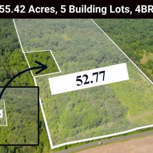 Photo #1 of 11326 ROGUES ROAD N, MIDLAND, VA 55.4 acres