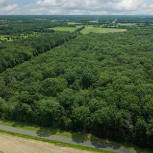 Photo #3 of 11326 ROGUES ROAD S, MIDLAND, VA 24.9 acres