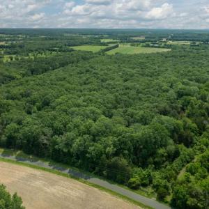 Photo #4 of 11326 ROGUES ROAD S, MIDLAND, VA 24.9 acres