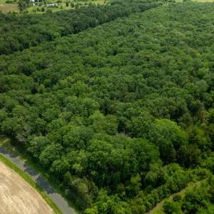 Photo #6 of 11326 ROGUES ROAD S, MIDLAND, VA 24.9 acres