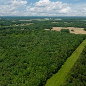 Photo #11 of 11326 ROGUES ROAD S, MIDLAND, VA 24.9 acres