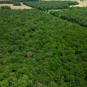 Photo #14 of 11326 ROGUES ROAD S, MIDLAND, VA 24.9 acres