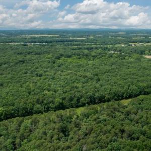 Photo #9 of 11326 ROGUES ROAD S, MIDLAND, VA 24.9 acres