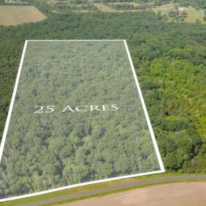 Photo #4 of 11326 ROGUES ROAD, MIDLAND, VA 24.9 acres