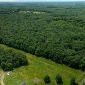 Photo #9 of 11326 ROGUES ROAD, MIDLAND, VA 24.9 acres