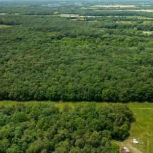 Photo #10 of 11326 ROGUES ROAD, MIDLAND, VA 24.9 acres