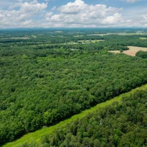 Photo #12 of 11326 ROGUES ROAD, MIDLAND, VA 24.9 acres