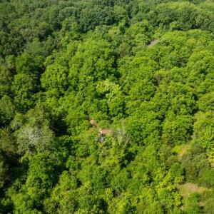 Photo #4 of 11326 ROGUES ROAD, MIDLAND, VA 2.7 acres