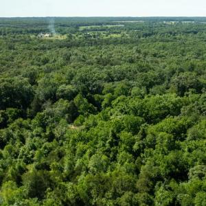 Photo #7 of 11326 ROGUES ROAD, MIDLAND, VA 2.7 acres