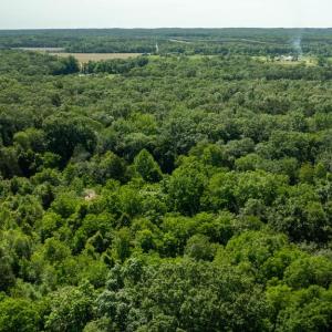 Photo #8 of 11326 ROGUES ROAD, MIDLAND, VA 2.7 acres