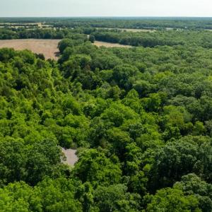 Photo #9 of 11326 ROGUES ROAD, MIDLAND, VA 2.7 acres