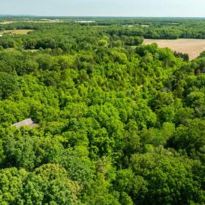 Photo #11 of 11326 ROGUES ROAD, MIDLAND, VA 2.7 acres