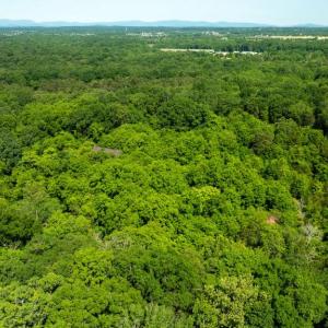 Photo #13 of 11326 ROGUES ROAD, MIDLAND, VA 2.7 acres