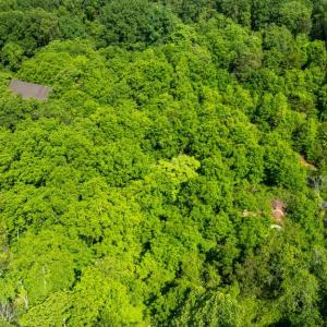 Photo #14 of 11326 ROGUES ROAD, MIDLAND, VA 2.7 acres