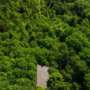 Photo #17 of 11326 ROGUES ROAD, MIDLAND, VA 2.7 acres