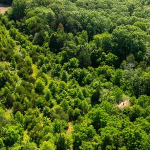 Photo #19 of 11326 ROGUES ROAD, MIDLAND, VA 2.7 acres