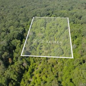 Photo #1 of 11326 ROGUES ROAD, MIDLAND, VA 2.7 acres