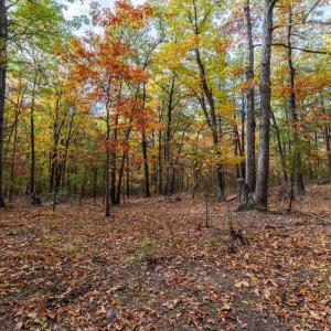 Photo #7 of LUCAS HOLLOW RD, STANLEY, VA 40.6 acres