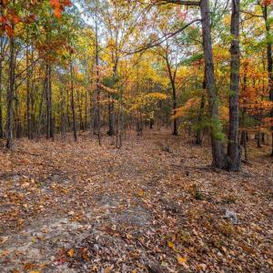 Photo #5 of LUCAS HOLLOW RD, STANLEY, VA 40.6 acres
