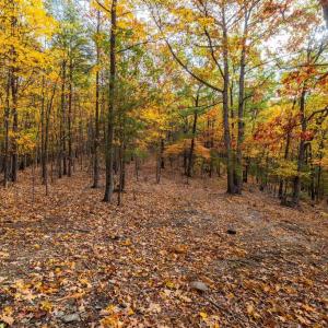 Photo #6 of LUCAS HOLLOW RD, STANLEY, VA 40.6 acres