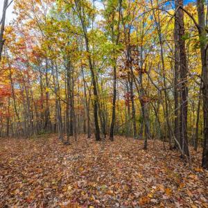 Photo #8 of LUCAS HOLLOW RD, STANLEY, VA 40.6 acres