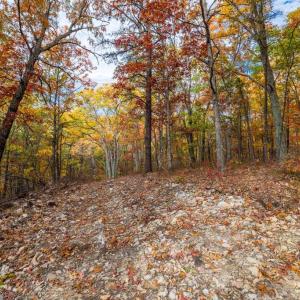 Photo #14 of LUCAS HOLLOW RD, STANLEY, VA 40.6 acres