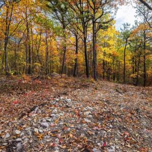 Photo #15 of LUCAS HOLLOW RD, STANLEY, VA 40.6 acres