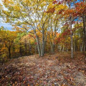 Photo #17 of LUCAS HOLLOW RD, STANLEY, VA 40.6 acres