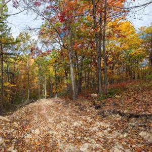 Photo #18 of LUCAS HOLLOW RD, STANLEY, VA 40.6 acres