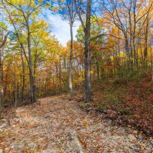 Photo #19 of LUCAS HOLLOW RD, STANLEY, VA 40.6 acres