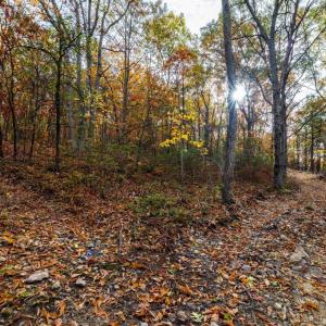 Photo #20 of LUCAS HOLLOW RD, STANLEY, VA 40.6 acres