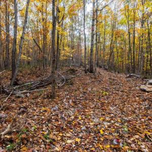 Photo #21 of LUCAS HOLLOW RD, STANLEY, VA 40.6 acres
