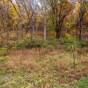 Photo #27 of LUCAS HOLLOW RD, STANLEY, VA 40.6 acres