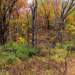 Photo #28 of LUCAS HOLLOW RD, STANLEY, VA 40.6 acres