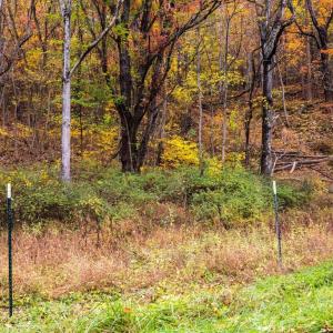 Photo #29 of LUCAS HOLLOW RD, STANLEY, VA 40.6 acres