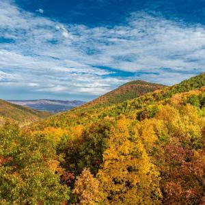 Photo #30 of LUCAS HOLLOW RD, STANLEY, VA 40.6 acres