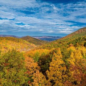 Photo #1 of LUCAS HOLLOW RD, STANLEY, VA 40.6 acres
