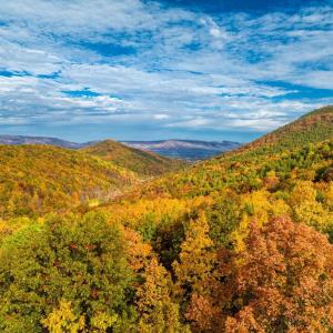 Photo #31 of LUCAS HOLLOW RD, STANLEY, VA 40.6 acres