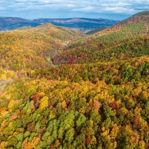 Photo #32 of LUCAS HOLLOW RD, STANLEY, VA 40.6 acres