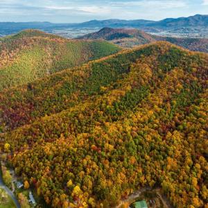 Photo #3 of LUCAS HOLLOW RD, STANLEY, VA 40.6 acres