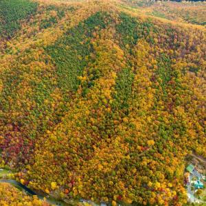 Photo #35 of LUCAS HOLLOW RD, STANLEY, VA 40.6 acres