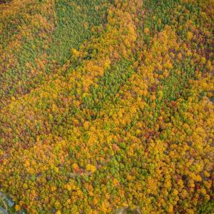 Photo #36 of LUCAS HOLLOW RD, STANLEY, VA 40.6 acres